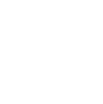 ARTIST